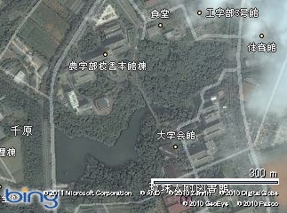 地図画像