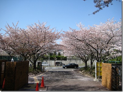 IMG_6013hosei