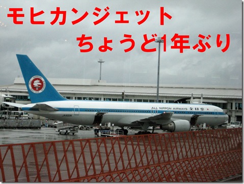IMG_8188文字
