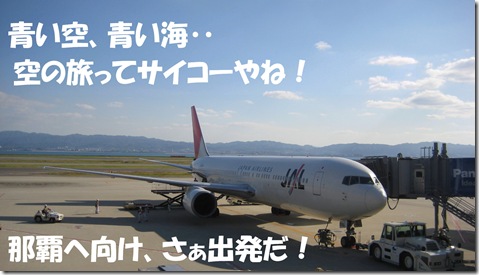 2011-11-16JAL機体