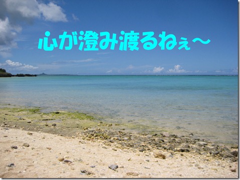 IMG_0018心