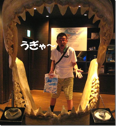 IMG_1438サメ