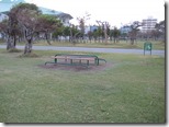IMG_1385