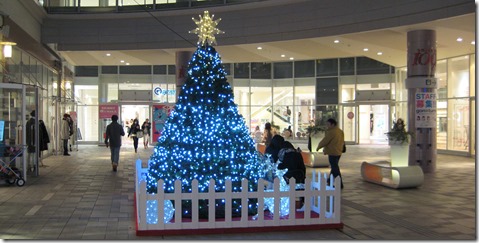 IMG_1638とり