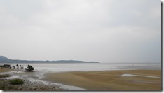 IMG_0478 (1)