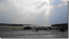 IMG_0491 (1)