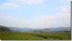 IMG_0495 (1)