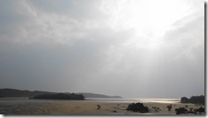 IMG_0496 (1)