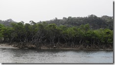 IMG_0498 (1)