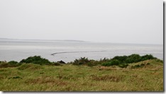 IMG_0512 (1)