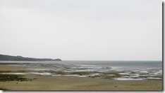 IMG_0518 (1)