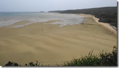 IMG_0528 (1)