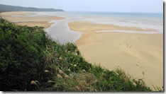 IMG_0531 (1)