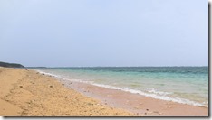 IMG_0564 (1)