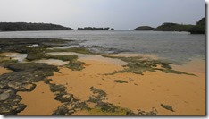 IMG_0568 (1)