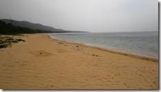 IMG_0593 (1)