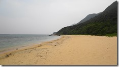 IMG_0595 (1)