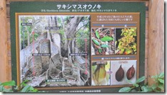 IMG_0607 (1)