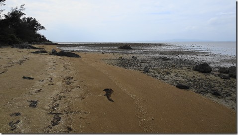 IMG_0623 (1)