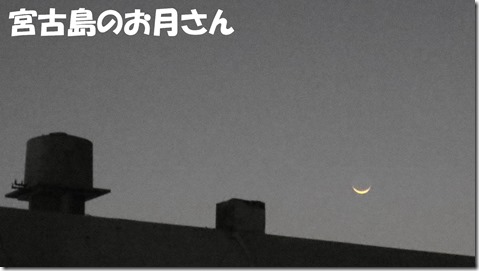 IMG_0388 (1)文字
