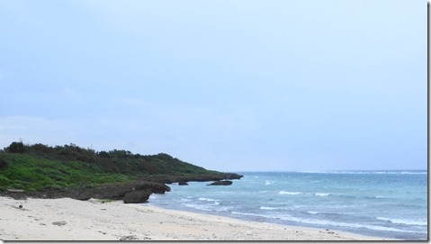 IMG_0600 (1)