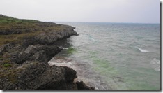 IMG_0633 (1)