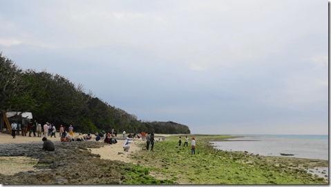 IMG_0693 (1)