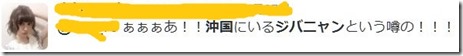 キャプチャ29