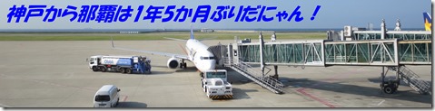 神戸空港スカイマーク